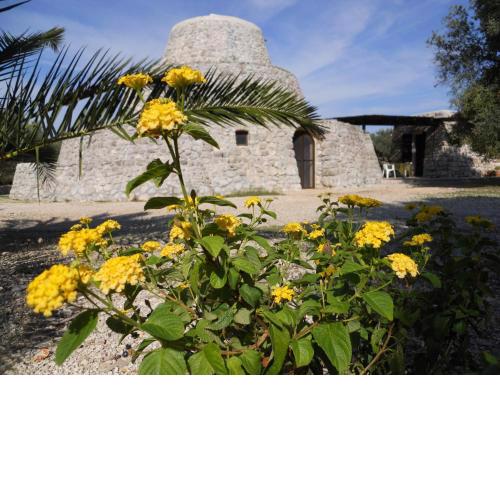 Agriturismo Specchiarussa