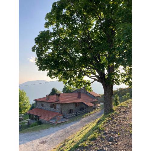 Agriturismo Sperandini