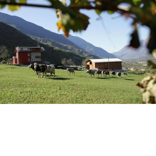 Agriturismo Stella Orobica