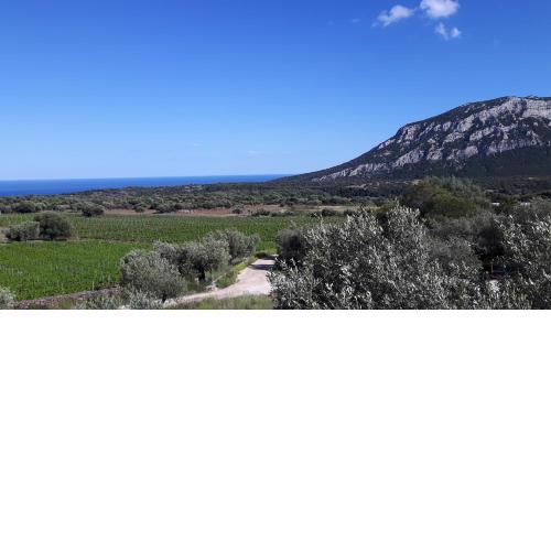 Agriturismo Su Barcu