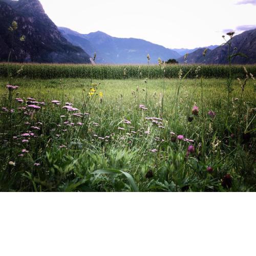 Agriturismo Summus Lacus