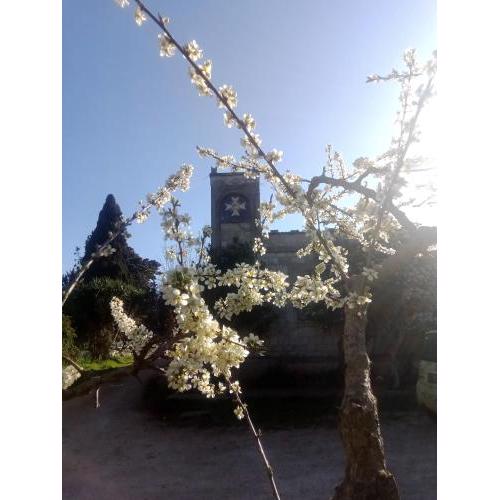 Agriturismo Teatro del grano