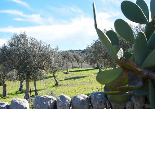 Agriturismo Tenuta Carbonara