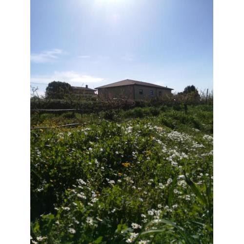 Agriturismo Terra del Sole