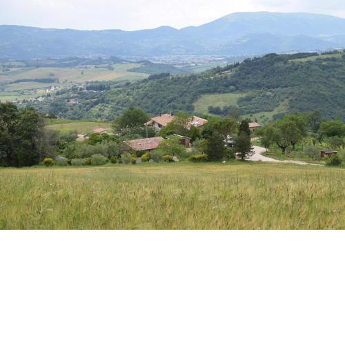 Agriturismo Terra Selvatica