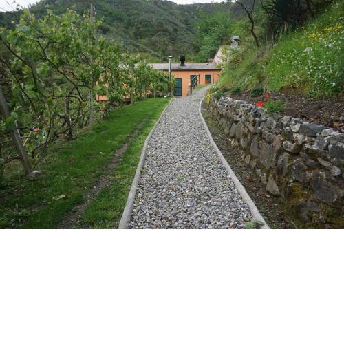 Agriturismo U muinettu