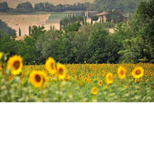 Agriturismo Val di Sterza