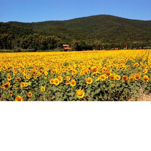 Agriturismo Valborgina