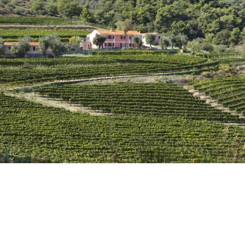 Agriturismo Valcrosa