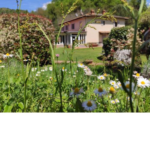 Agriturismo Valleverde