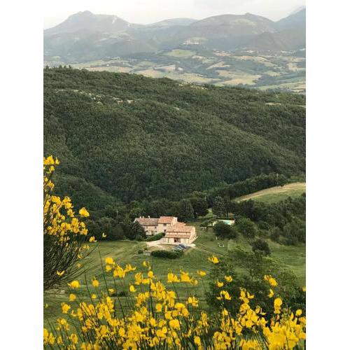 Agriturismo Vellaneta