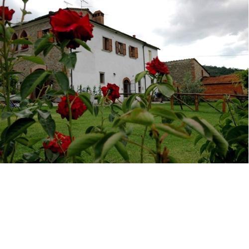 Agriturismo Villalba