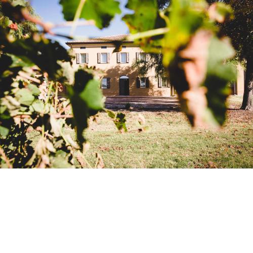 Agriturismo Vitae
