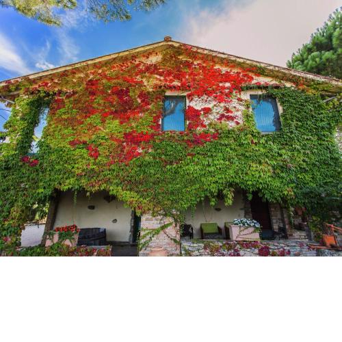 Agriturismo with pool between vineyards olive groves