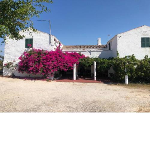 Agroturisme Binisaid NOU