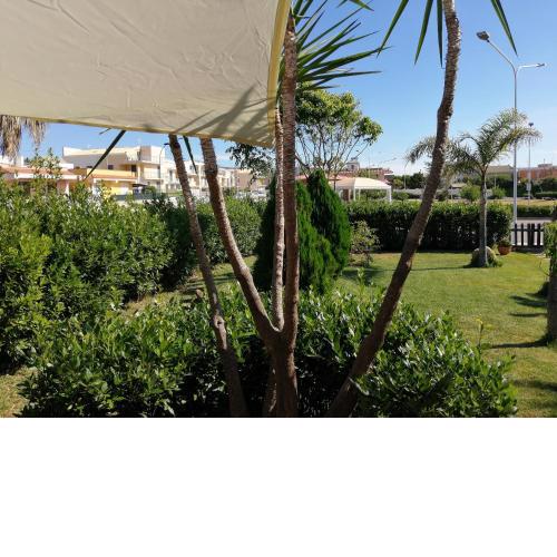 Agua Marina