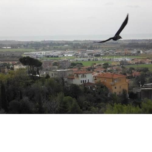 al castello