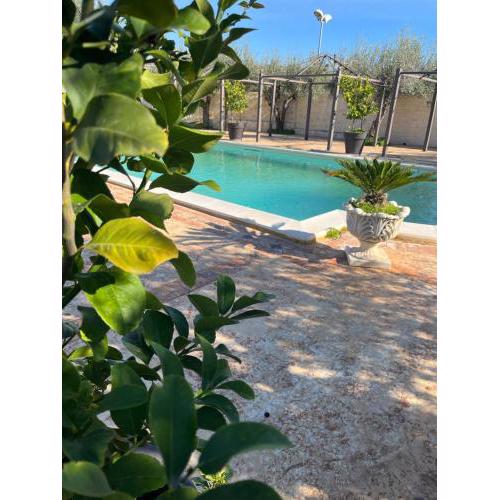 Al cavaliere apartment