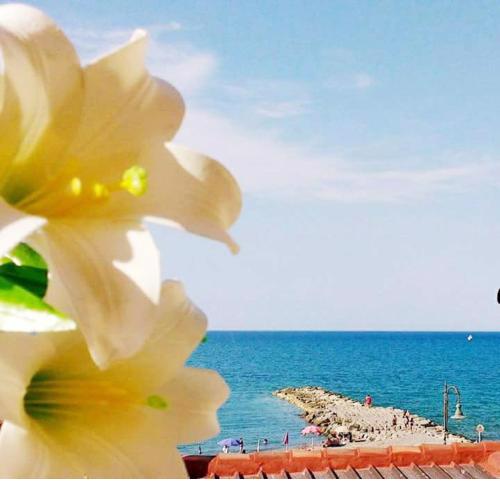 Al Giglio - Bed and Breakfast