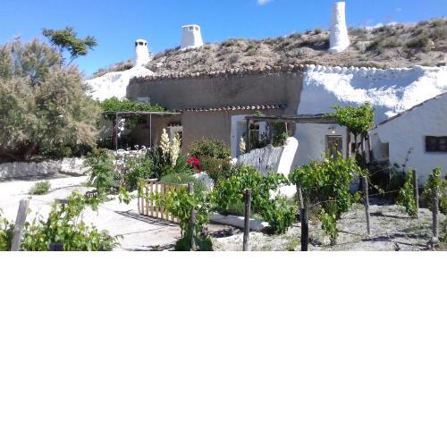 Al Jatib