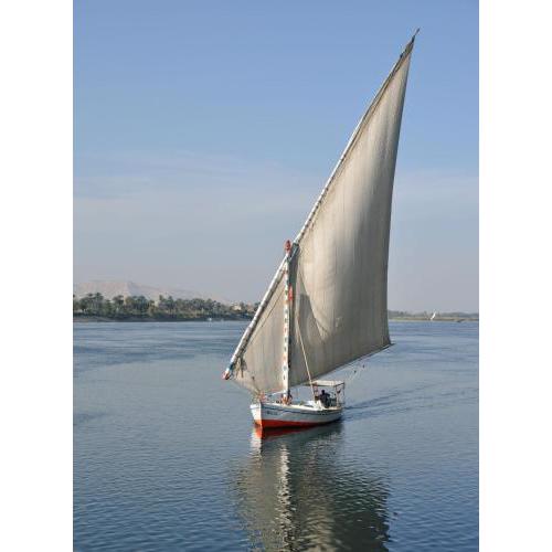 Al-Laythy Boat