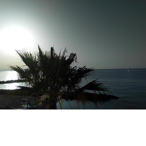 Al mare da Meg