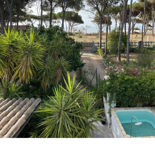 Al Mare Home