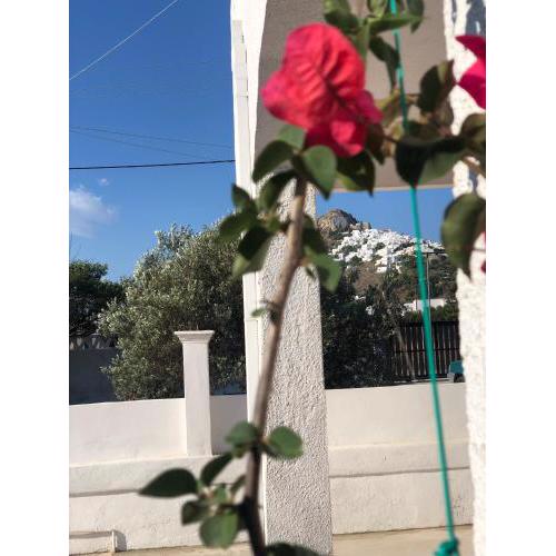 Al Mare Skyros, Fully-equipped house