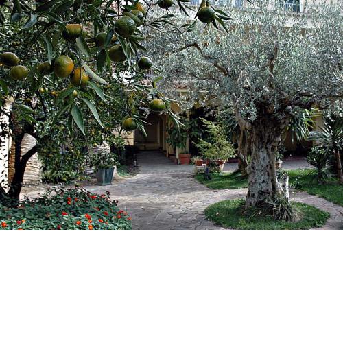 Al Vecchio Pozzo
