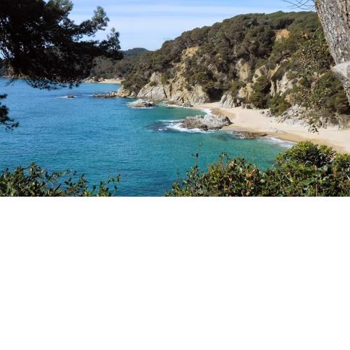 AL15 - Apartamento 1 para familias a 300 m playa Fenals