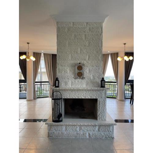 Alayna’s Dream Indoor Swimming Pool Vacation Villa