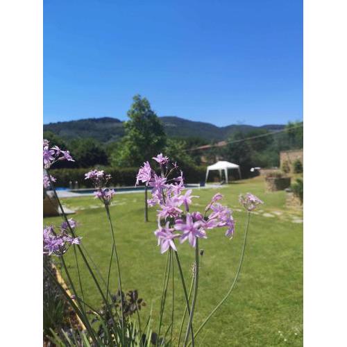 Alba Morus Bed e Breakfast sentiti a casa nel cuore della Toscana