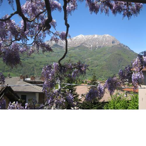 Albergo Esposito