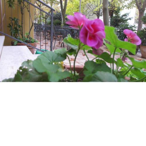 Albergo La Primula