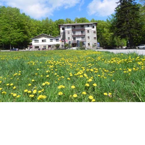 Albergo Le Macinaie - Monte Amiata