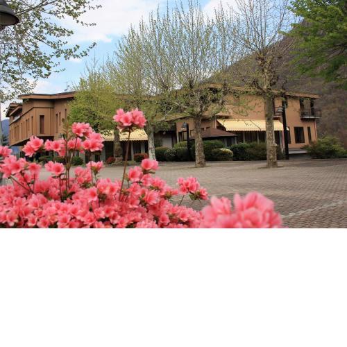 Albergo Ristorante Cicin