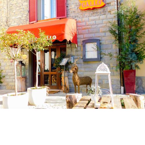 Albergo Ristorante Gallo