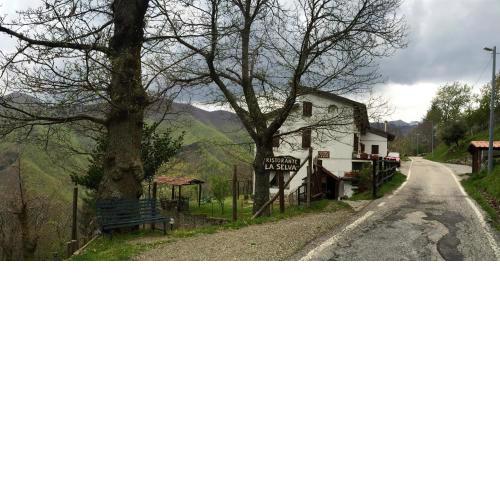 Albergo Ristorante La Selva