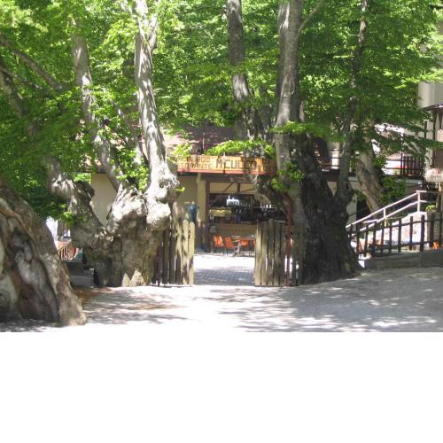 Albergo Ristorante Montecucco da Tobia