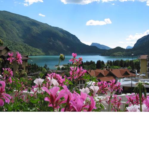 Albergo Stella Alpina