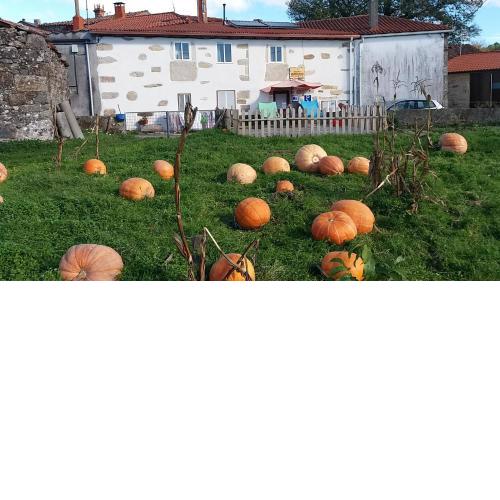Albergue a Casina di Marcello