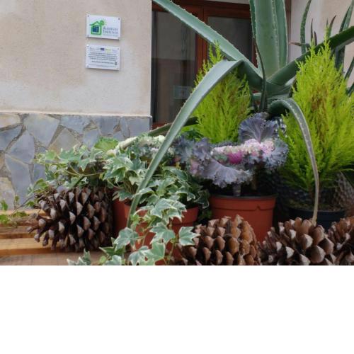 Albergue Turístico Tierras Altas