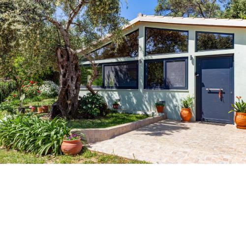 Alesia's House