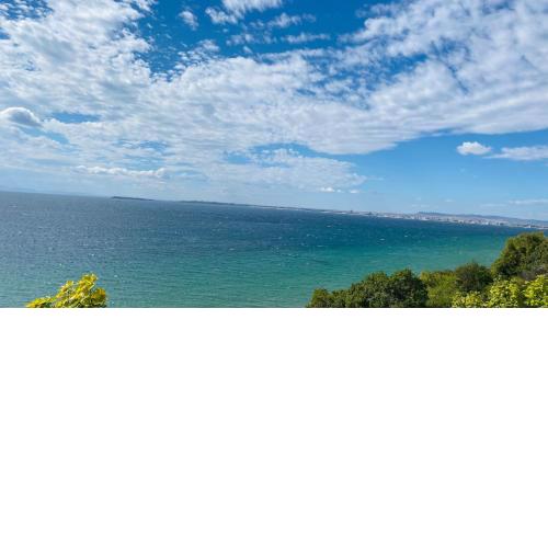 ALEX BEACH Apartello·com - Amazing apartments with sea view!