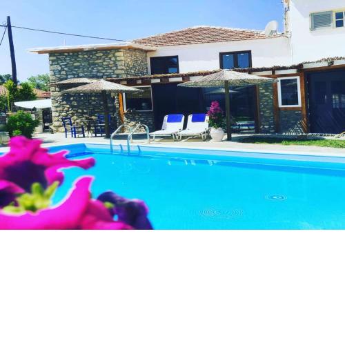 Alexander Summer Getaway with Pool