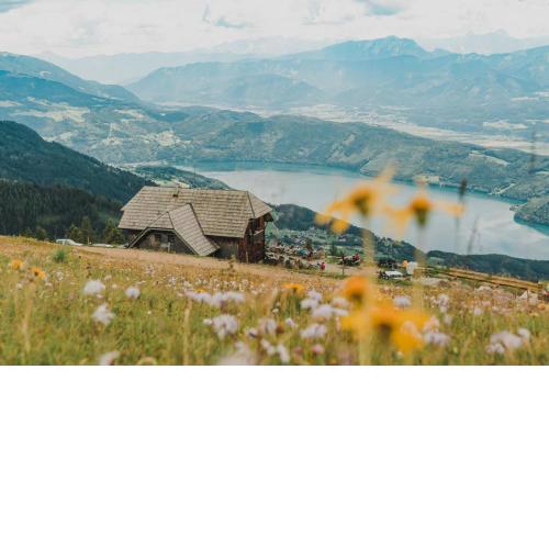 AlexanderAlm