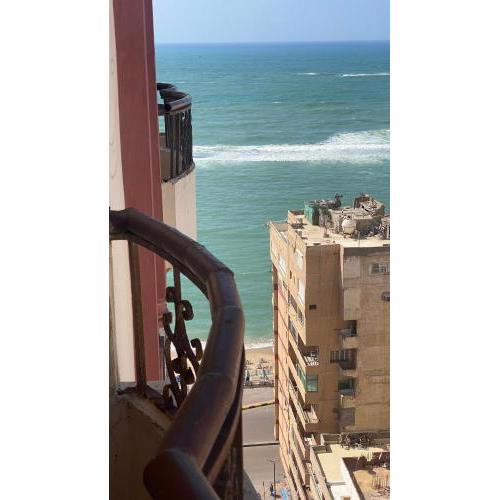 Alexandria apartment