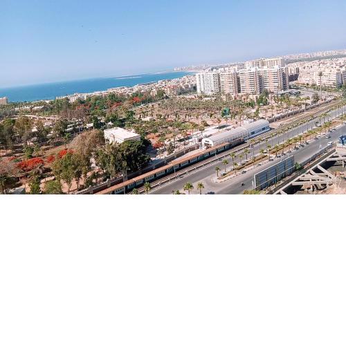 Alexandria el mamora