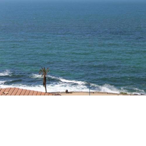 Alexrent front sea view