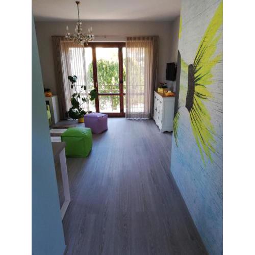 Alex's home 2